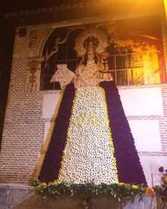 imagen1812